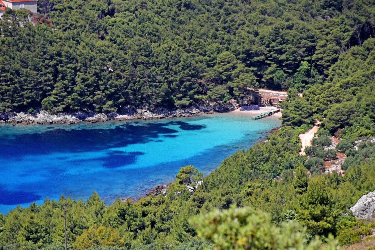 Apartments By The Sea Luka Dubrava, Peljesac - 284 Janjina Экстерьер фото